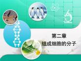 人教版 (新課標(biāo))高中生物必修1 第二章組成細(xì)胞的分子 復(fù)習(xí)課件