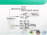 人教版 (新課標(biāo))高中生物必修1 第二章組成細(xì)胞的分子 復(fù)習(xí)課件