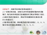 人教版 (新課標(biāo))高中生物必修1 第二章組成細(xì)胞的分子 復(fù)習(xí)課件