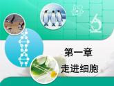 人教版 (新課標(biāo))高中生物必修1 第一章《走近細(xì)胞》章末復(fù)習(xí)課件