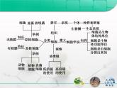 人教版 (新課標(biāo))高中生物必修1 第一章《走近細(xì)胞》章末復(fù)習(xí)課件