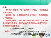 人教版 (新課標(biāo))高中生物必修1 第一章《走近細(xì)胞》章末復(fù)習(xí)課件