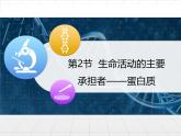 人教版 (新課標(biāo))高中生物必修1 2-2《生命活動(dòng)的主要承擔(dān)者——蛋白質(zhì)》課件