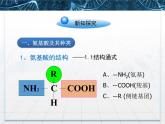 人教版 (新課標(biāo))高中生物必修1 2-2《生命活動(dòng)的主要承擔(dān)者——蛋白質(zhì)》課件