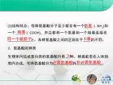 人教版 (新課標(biāo))高中生物必修1 2-2《生命活動(dòng)的主要承擔(dān)著——蛋白質(zhì)》復(fù)習(xí)課件