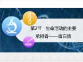 人教版 (新課標(biāo))高中生物必修1 2-2《生命活動(dòng)的主要承擔(dān)者——蛋白質(zhì)》課件