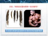 人教版 (新課標(biāo))高中生物必修1 2-2《生命活動(dòng)的主要承擔(dān)者——蛋白質(zhì)》課件