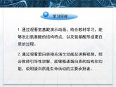 人教版 (新課標(biāo))高中生物必修1 2-2《生命活動(dòng)的主要承擔(dān)者——蛋白質(zhì)》課件