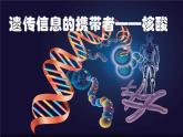 人教版 (新課標(biāo))高中生物必修1 2-3《遺傳信息的攜帶者——核酸》課件