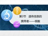 人教版 (新課標(biāo))高中生物必修1 2-3《遺傳信息的攜帶者——核酸》課件