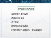 人教版 (新課標(biāo))高中生物必修1 2-3《遺傳信息的攜帶者——核酸》課件