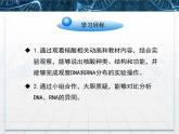 人教版 (新課標(biāo))高中生物必修1 2-3《遺傳信息的攜帶者——核酸》課件