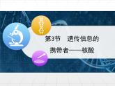 人教版 (新課標(biāo))高中生物必修1 2-3《遺傳信息的攜帶者——核酸》課件