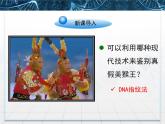 人教版 (新課標(biāo))高中生物必修1 2-3《遺傳信息的攜帶者——核酸》課件
