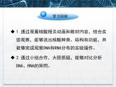 人教版 (新課標(biāo))高中生物必修1 2-3《遺傳信息的攜帶者——核酸》課件