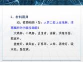 人教版 (新課標(biāo))高中生物必修1 2-3《遺傳信息的攜帶者——核酸》課件