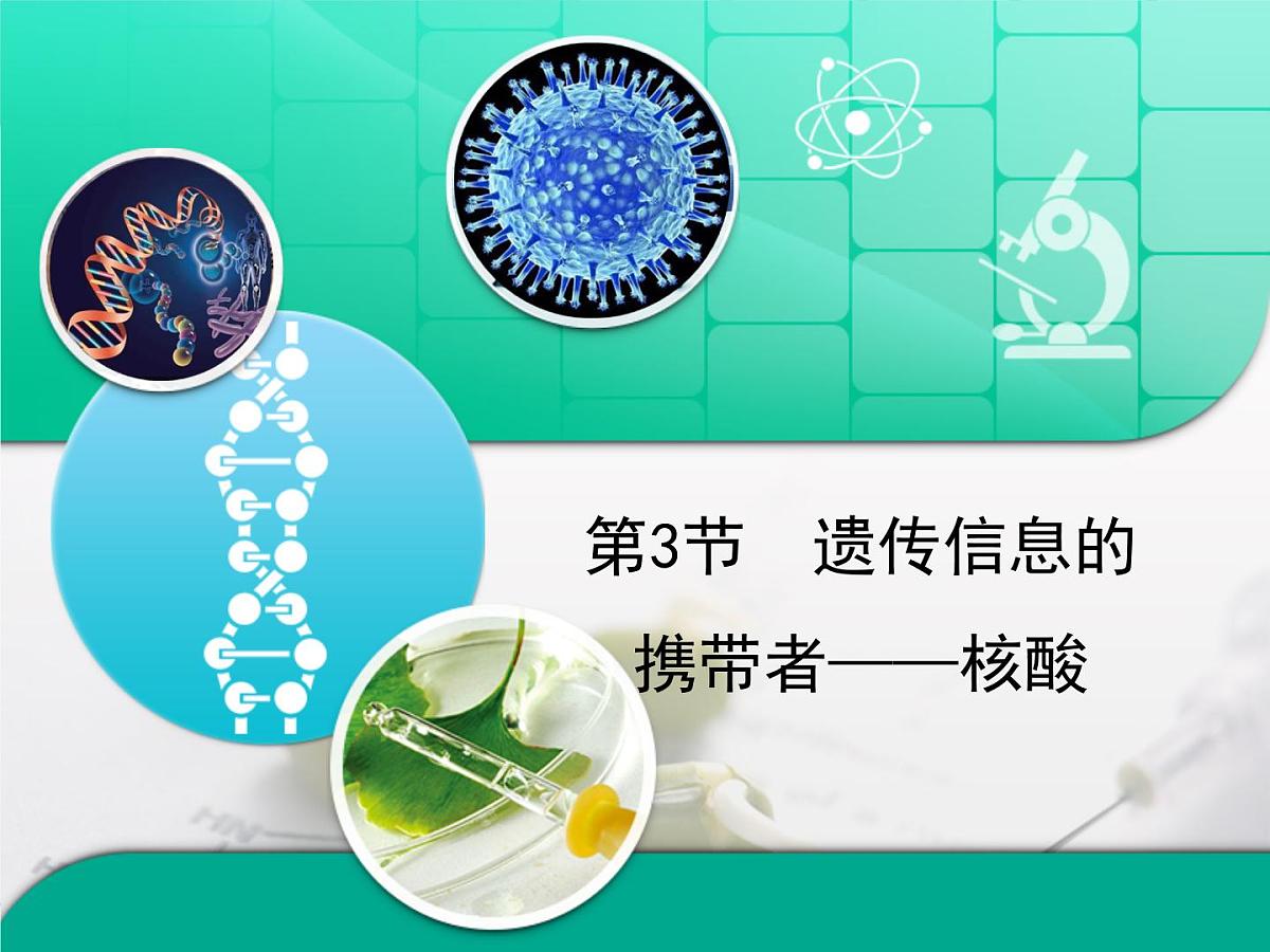人教版 (新课标)高中生物必修1 2-3《遗传信息的携带者——核酸》复习课件第1页