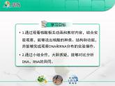 人教版 (新課標(biāo))高中生物必修1 2-3《遺傳信息的攜帶者——核酸》復(fù)習(xí)課件