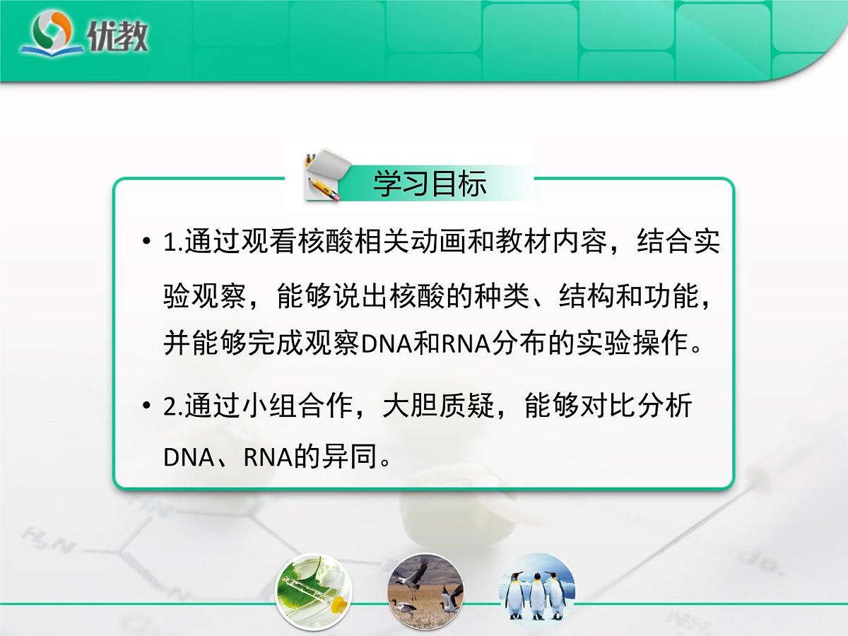 人教版 (新课标)高中生物必修1 2-3《遗传信息的携带者——核酸》复习课件第2页