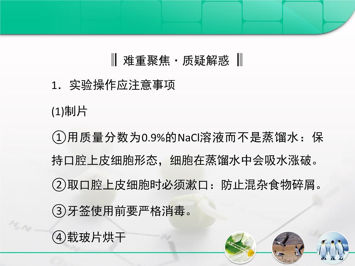 人教版 (新课标)高中生物必修1 2-3《遗传信息的携带者——核酸》复习课件第6页