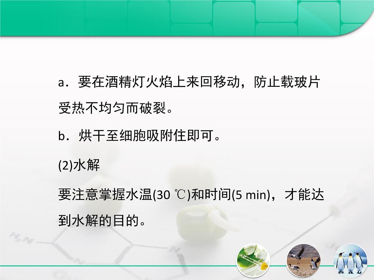 人教版 (新课标)高中生物必修1 2-3《遗传信息的携带者——核酸》复习课件第7页