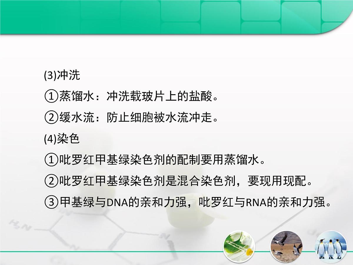 人教版 (新课标)高中生物必修1 2-3《遗传信息的携带者——核酸》复习课件第8页