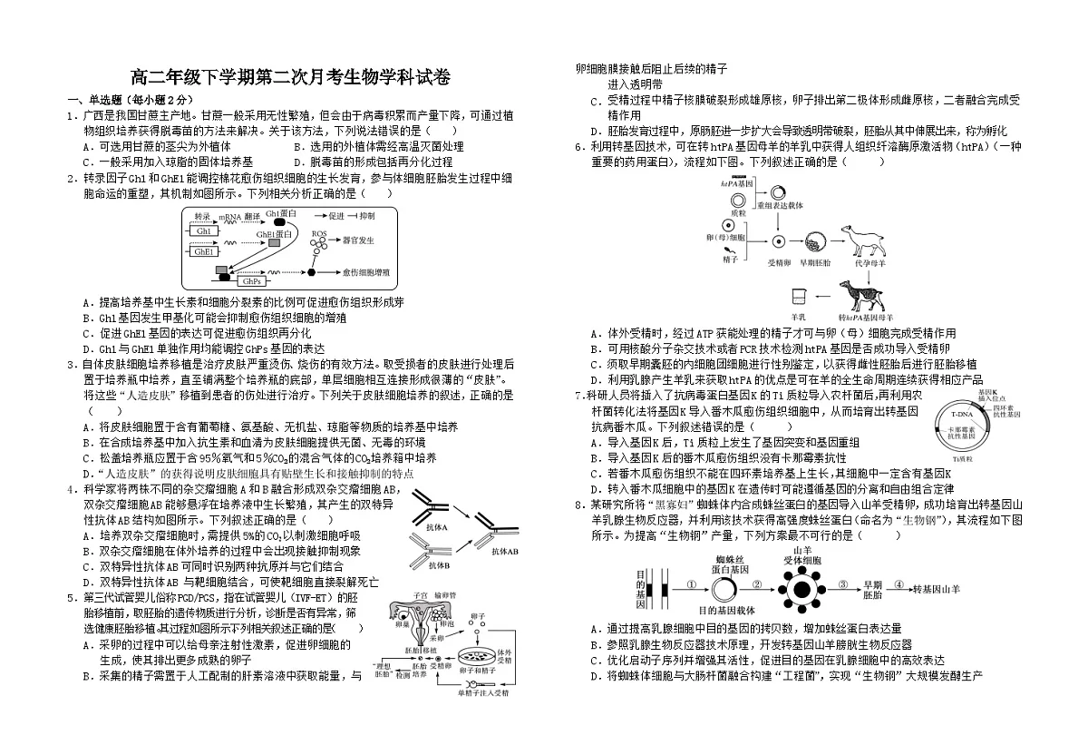 江西省赣州市上犹县上犹中学2024-2025学年高二下学期5月月考生物试题第1页