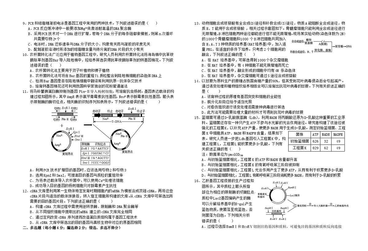 江西省赣州市上犹县上犹中学2024-2025学年高二下学期5月月考生物试题第2页