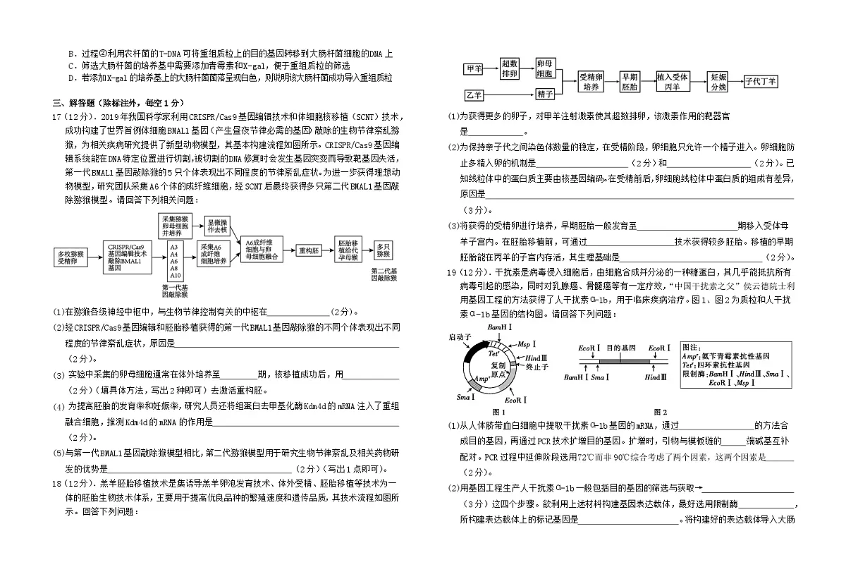 江西省赣州市上犹县上犹中学2024-2025学年高二下学期5月月考生物试题第3页