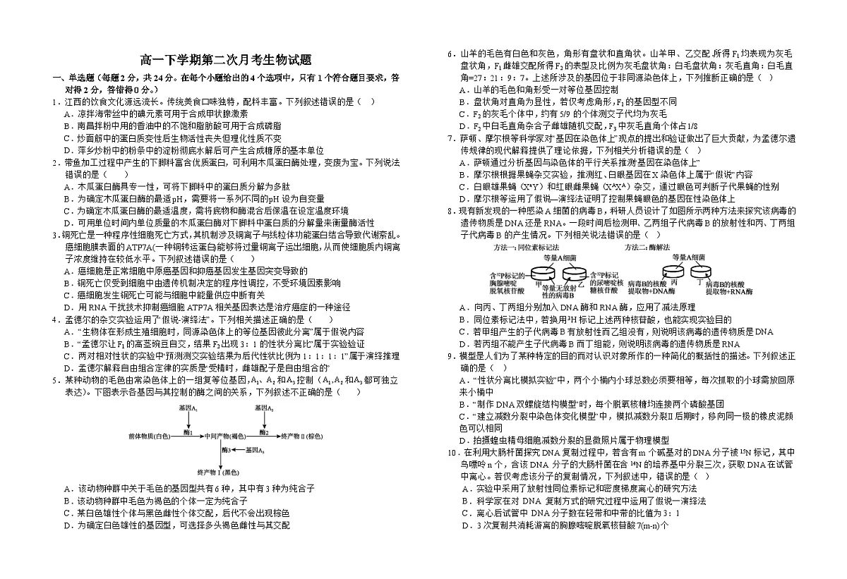 江西省赣州市上犹县上犹中学2024-2025学年高一下学期5月月考生物试题第1页