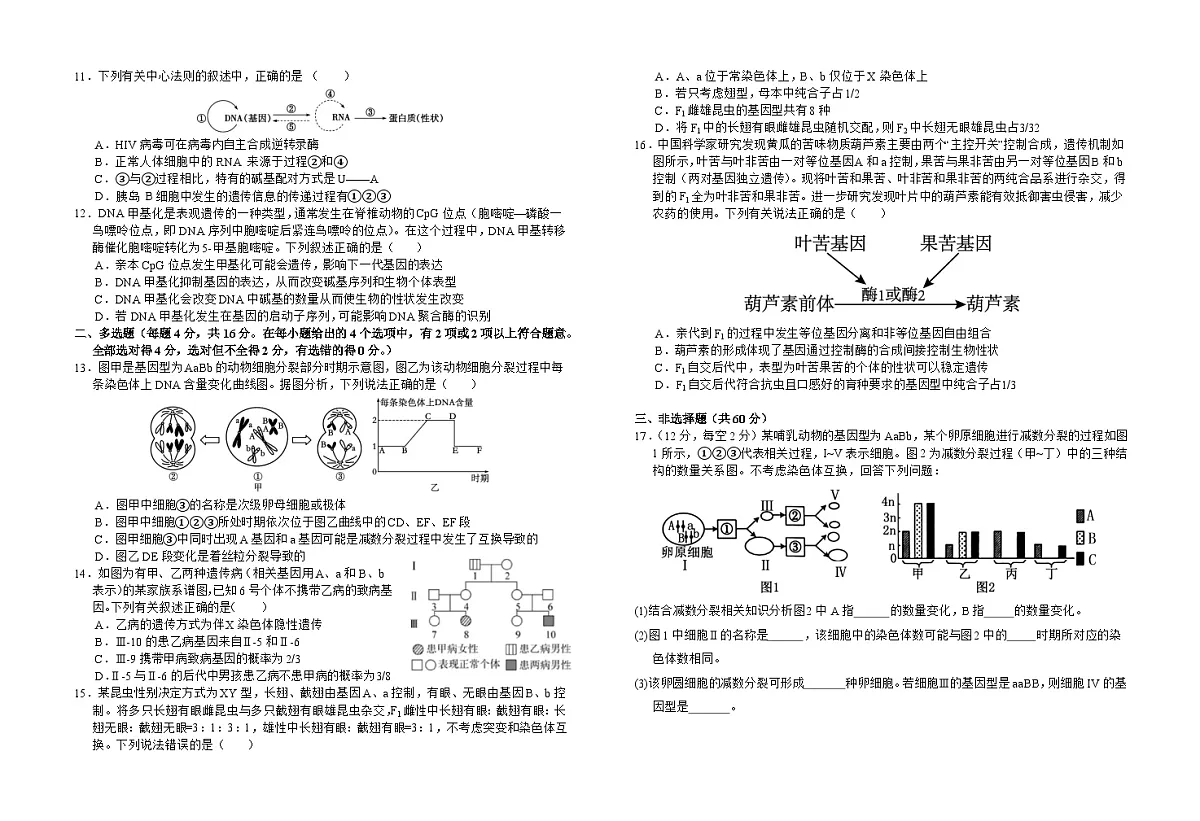 江西省赣州市上犹县上犹中学2024-2025学年高一下学期5月月考生物试题第2页