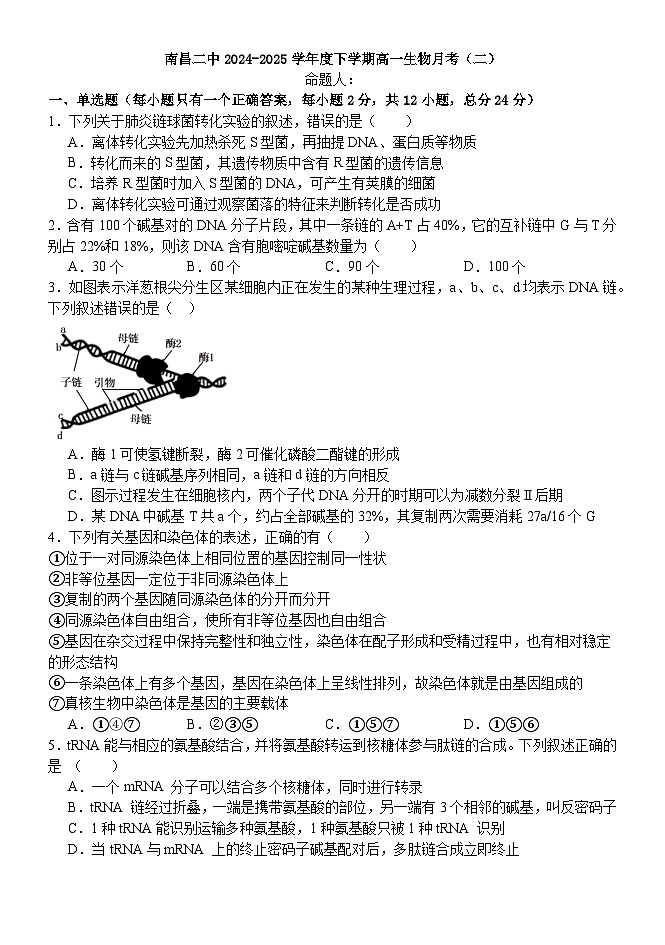 江西省南昌市第二中学2024-2025学年高一下学期月考（二）生物试题第1页