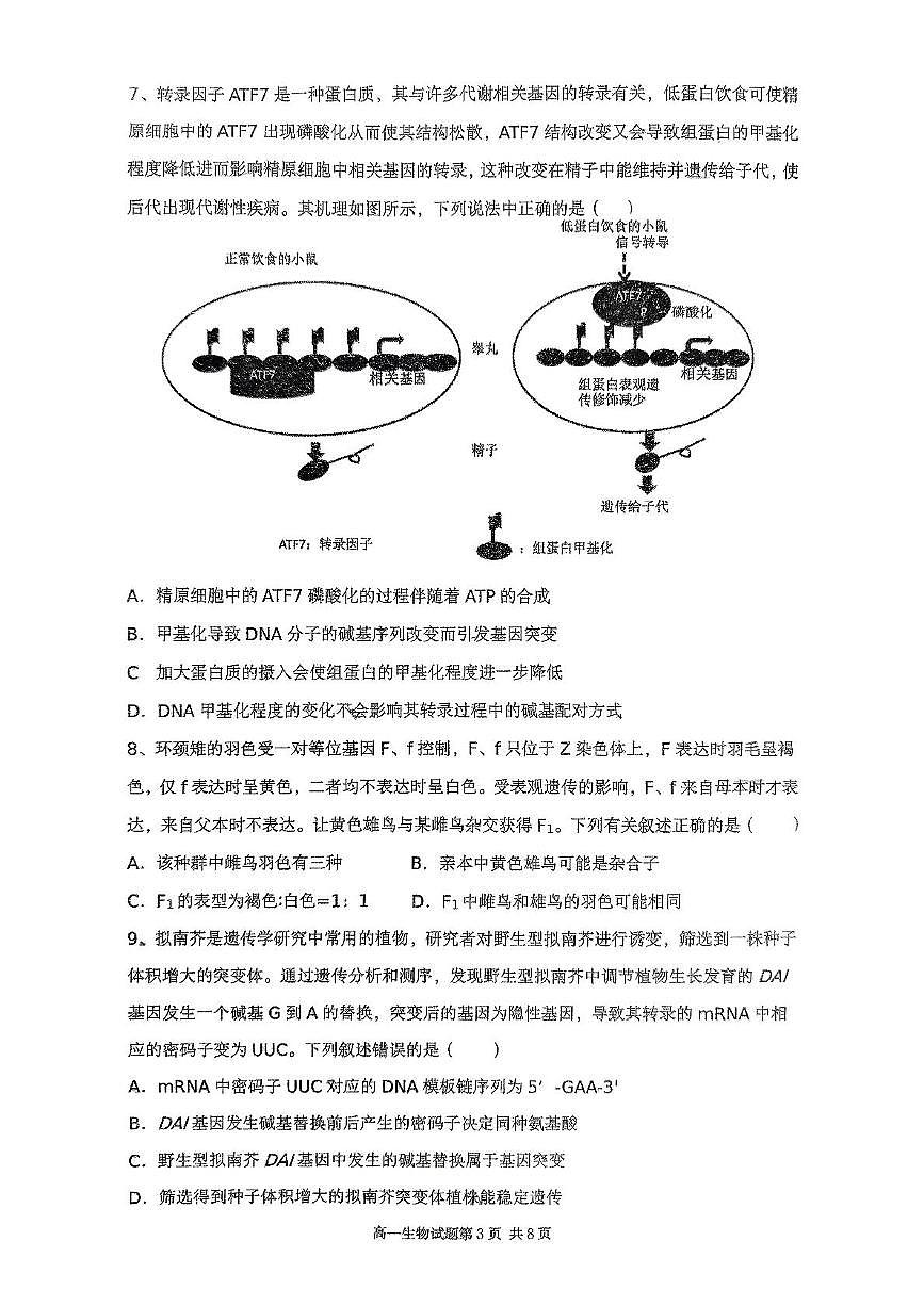 江西省南昌市南昌第十中学2024-2025学年度高一下学期第二次月考生物试卷及答案 南昌十中2024-2025学年下学期第二(2)第3页
