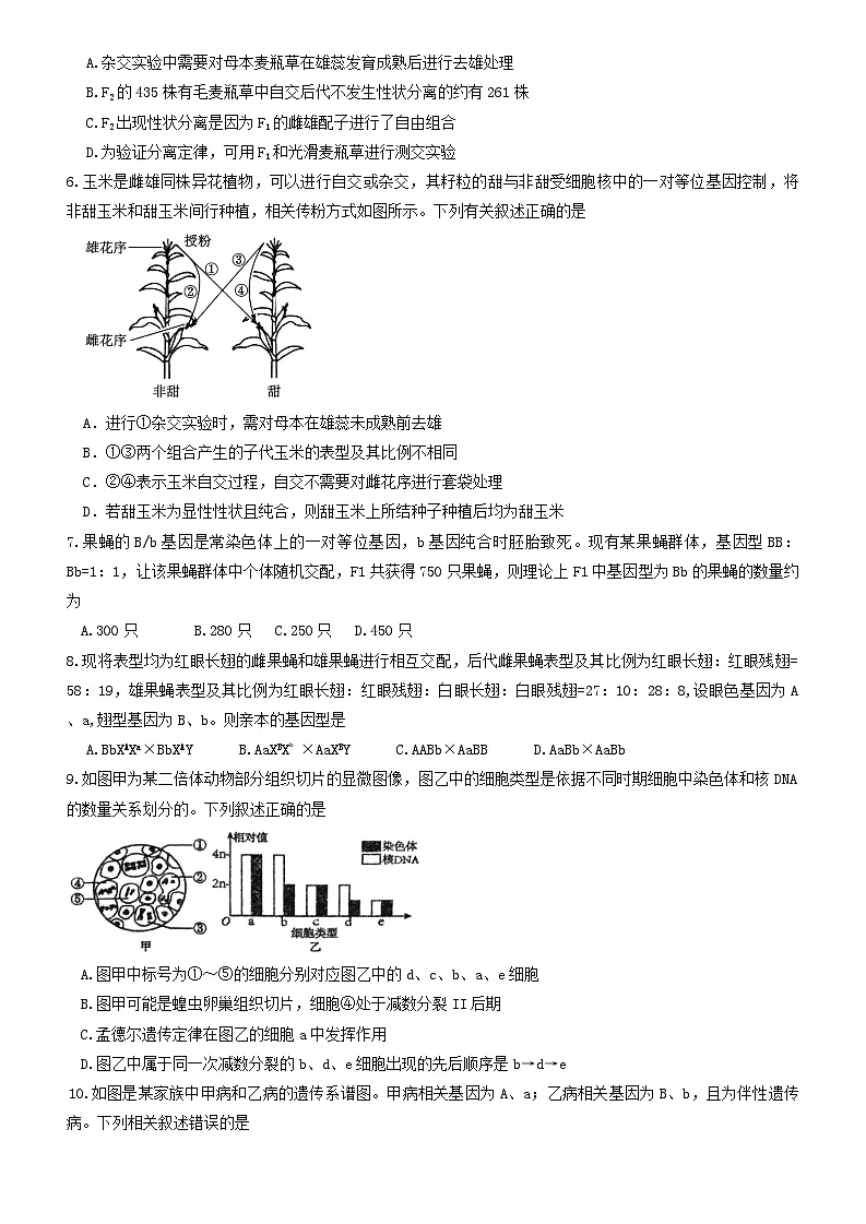 高一生物试题第2页