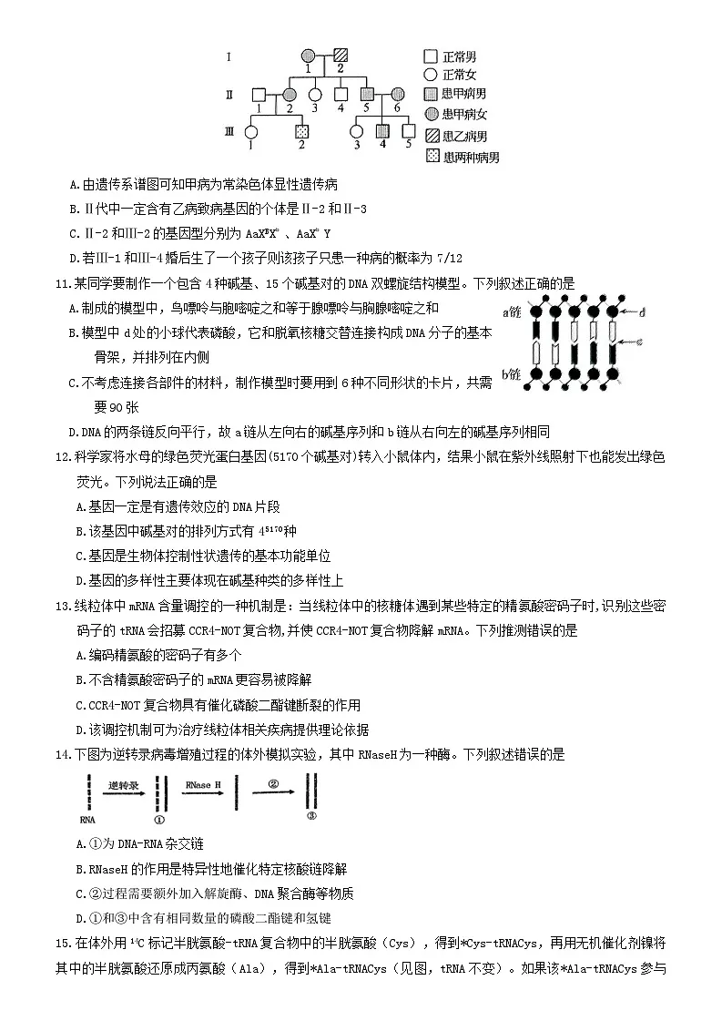 高一生物试题第3页