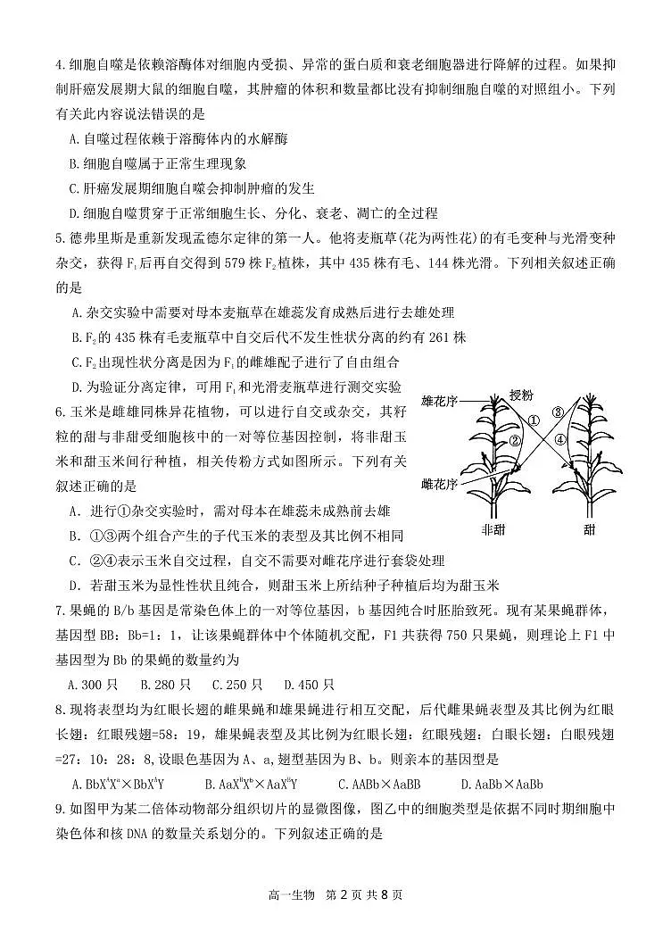 月考卷初稿第2页