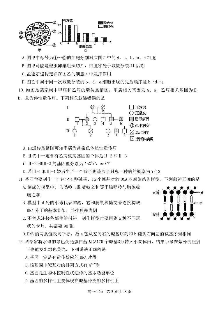 月考卷初稿第3页