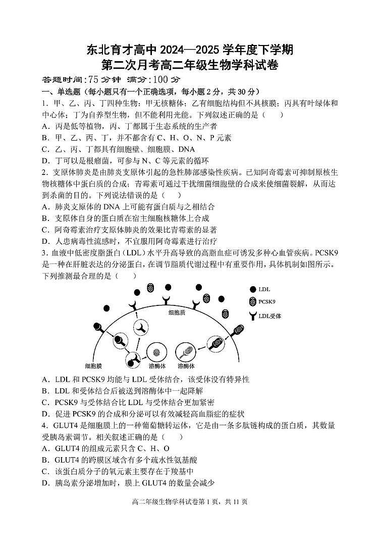 辽宁省沈阳市东北育才学校2024-2025学年高二下学期第二次月考生物试卷第1页