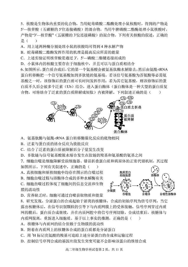 辽宁省沈阳市东北育才学校2024-2025学年高二下学期第二次月考生物试卷第2页