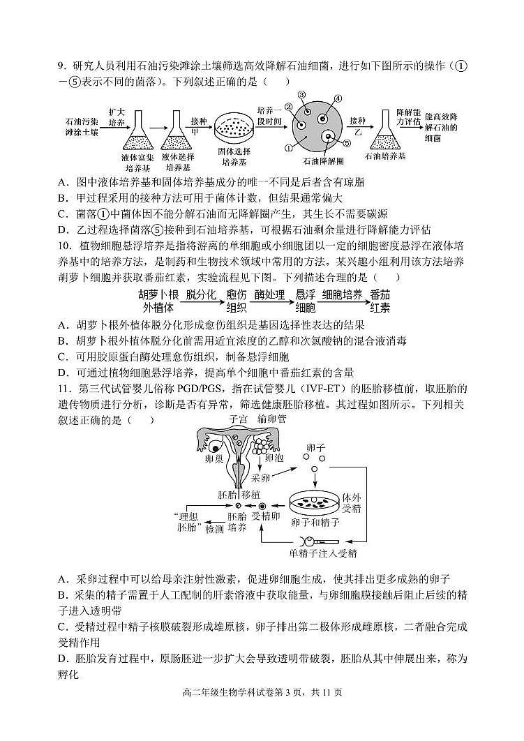 辽宁省沈阳市东北育才学校2024-2025学年高二下学期第二次月考生物试卷第3页