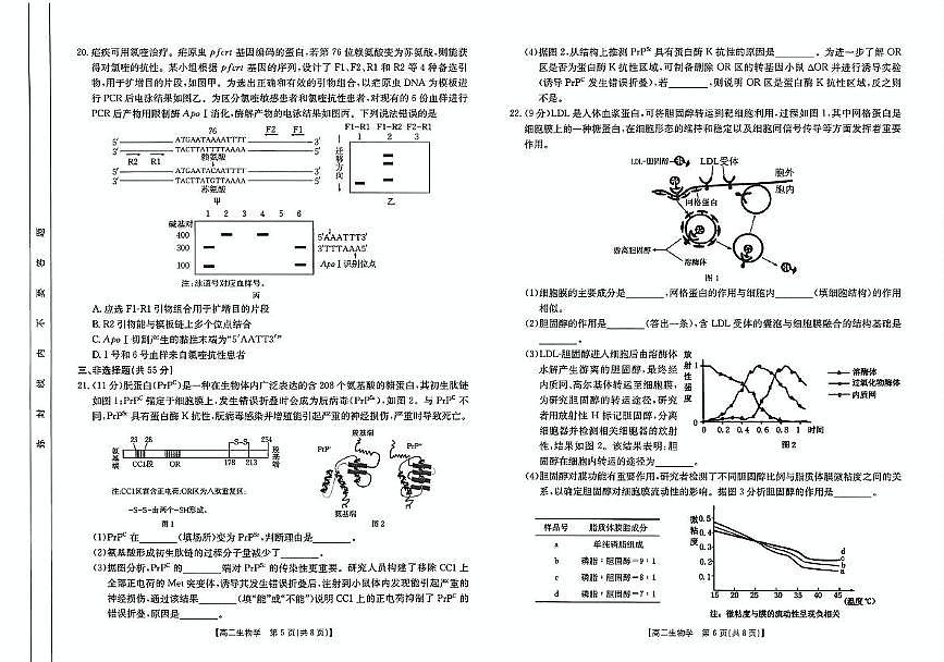 山东省大联考2024-2025学年高二下学期5月月考生物试题第3页