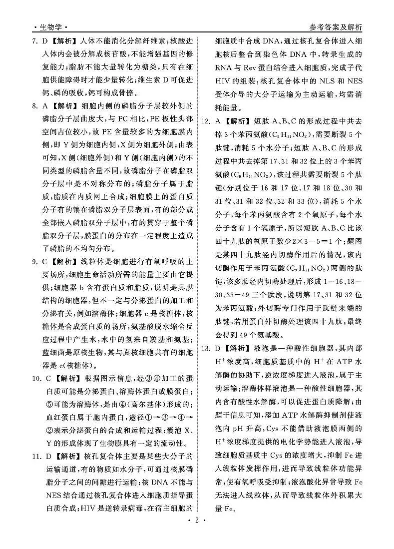 山东省东明县第一中学等校2024-2025学年高二下学期第二次月考生物试题 山东省大联考高二生物学学科答案第2页