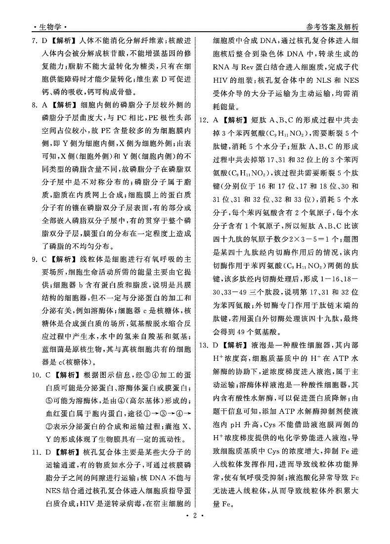 山东省东明县第一中学等校2024-2025学年高二下学期第二次月考生物试题 山东省大联考高二生物学学科答案第2页