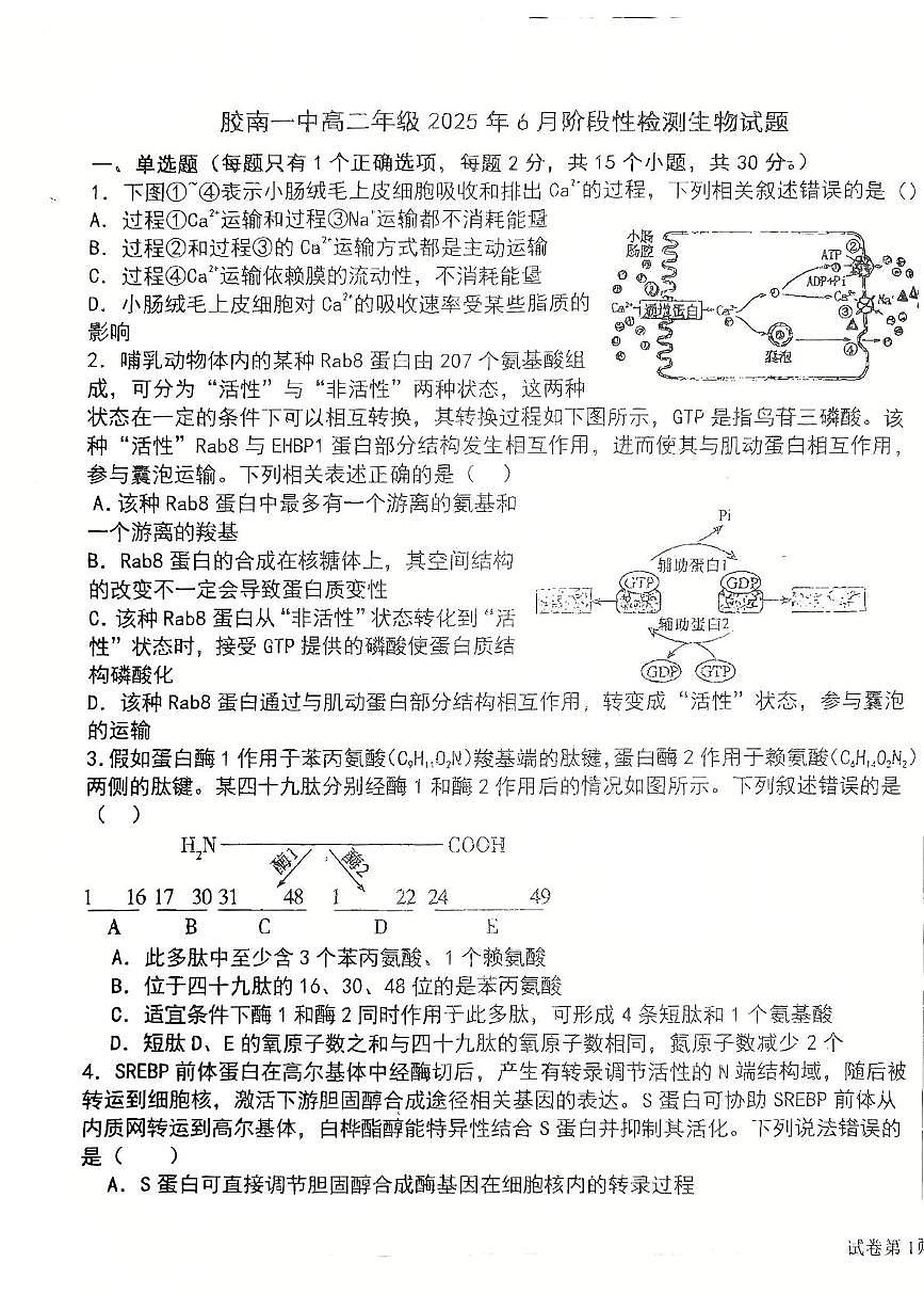 山东省青岛市西海岸新区胶南一中2024-2025学年高二下学期6月阶段性检测生物试题第1页