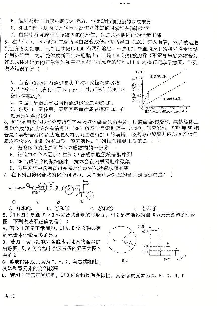 山东省青岛市西海岸新区胶南一中2024-2025学年高二下学期6月阶段性检测生物试题第2页