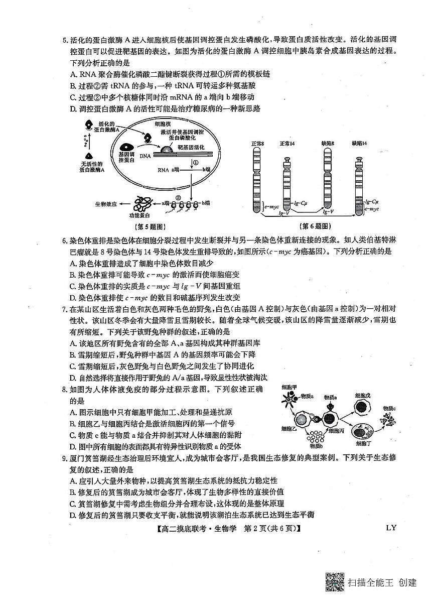 九师联盟2024-2025学年高二下学期6月摸底联考生物试题（含答案）含答案解析第2页