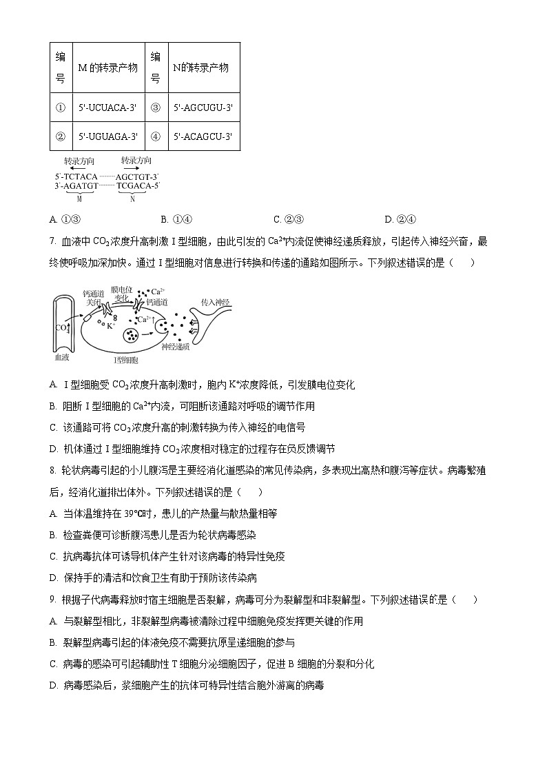 2025年高考（河北卷）生物高考真题 附答案第2页