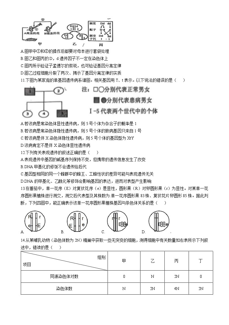 广东省珠海市四校2024-2025学年高一下学期5月联考生物试卷（Word版附答案）第3页