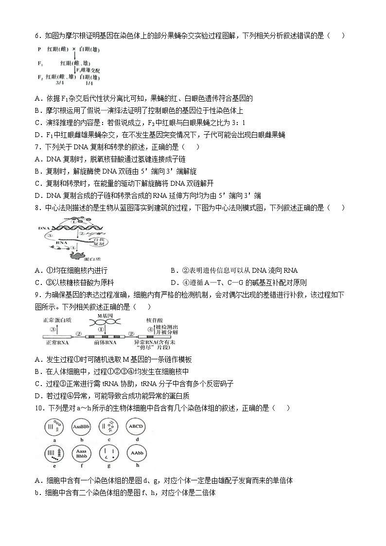广西普通示范性高中2024-2025学年高一下学期5月联合测试生物试卷（Word版附解析）第2页