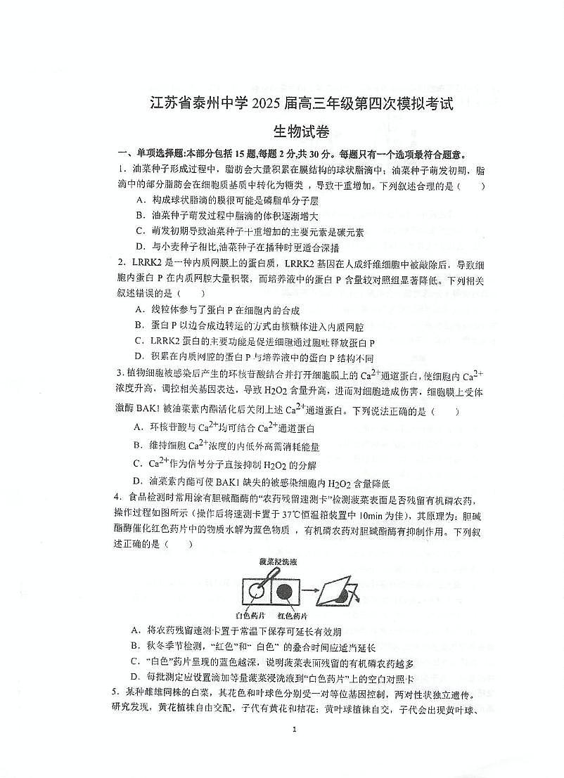 江苏省泰州中学2025届高三下学期第四次模拟考试生物试卷（PDF版附答案）第1页